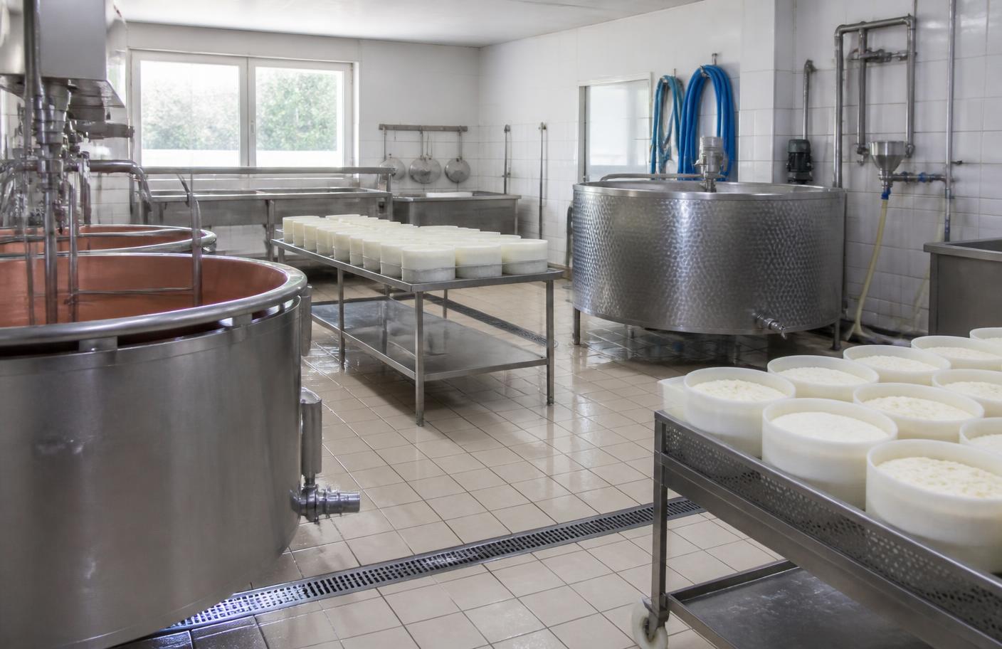 Small commercial cheese production room with stainless steel vats and draining tables